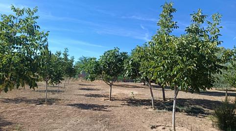 Foto 3 de Casa o chalet en venta en Carretera Carretera, 229, Área Rural-valverde-las , Puerta de Toledo - Atalaya, Ciudad Real Capital