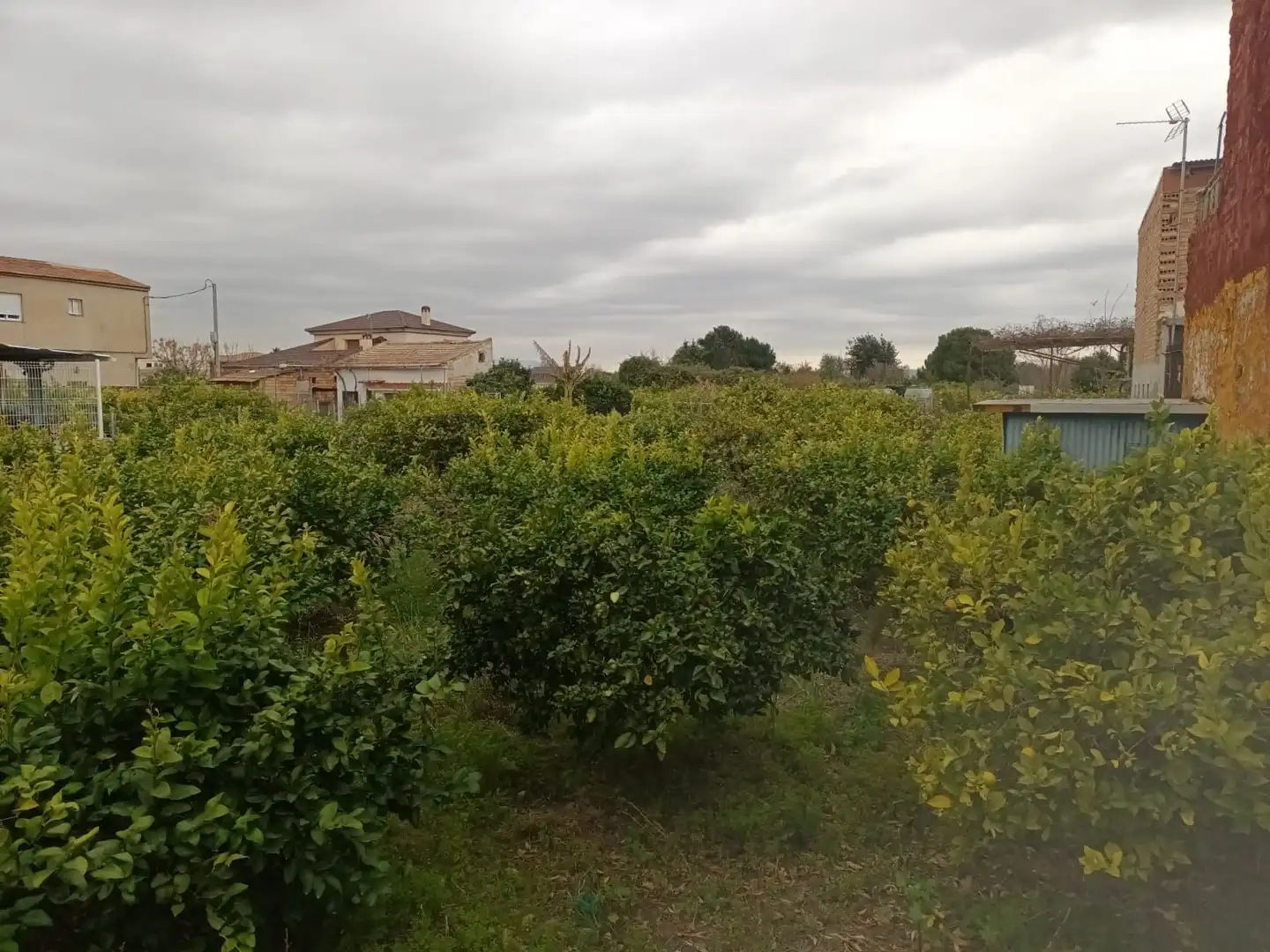 Terreny residencial en venda a Pedanías Oeste, imagen 2