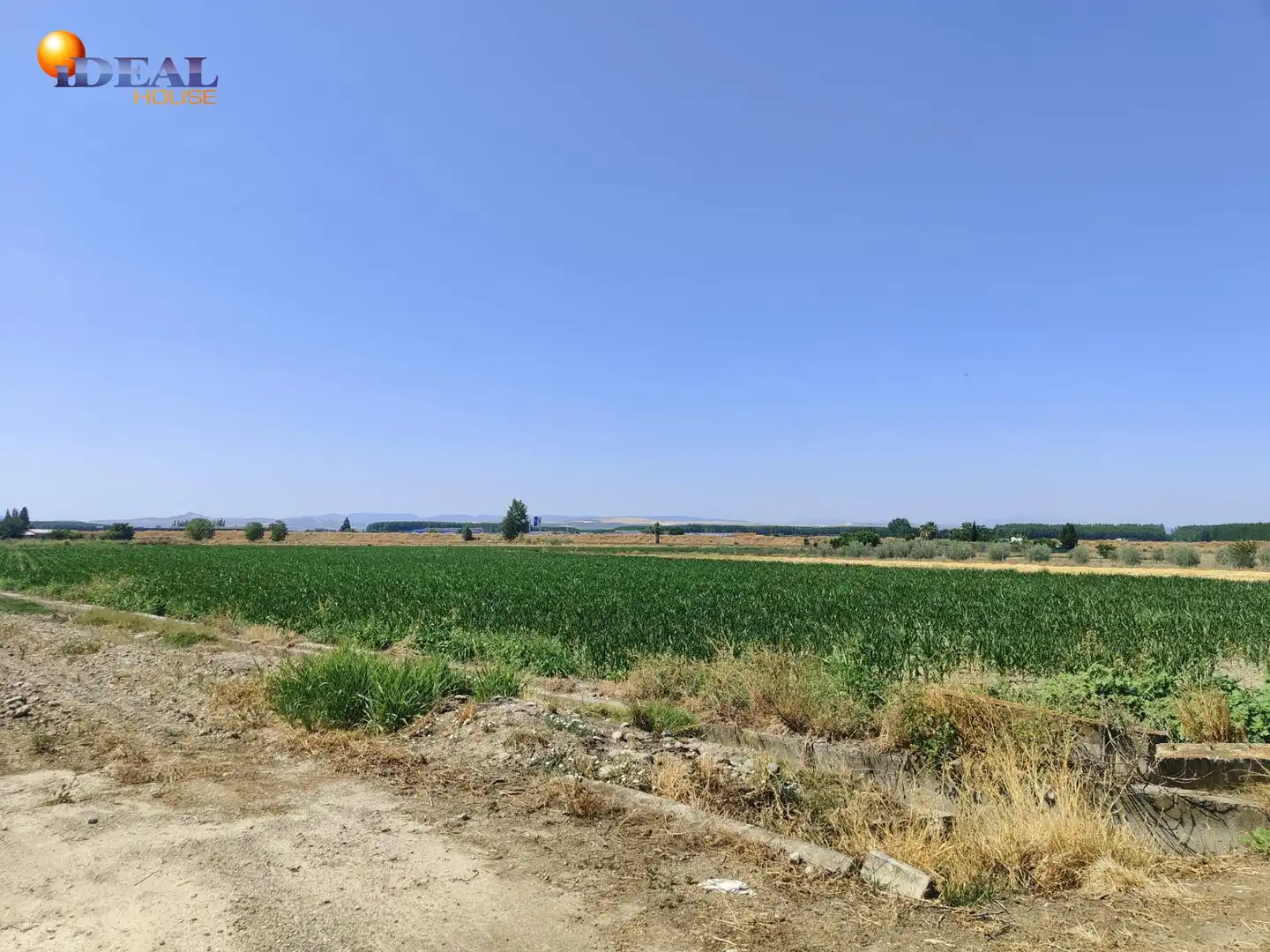 Terreni e lotti in vendita a Carretera Carretera de Pinos Puente, imagen 2