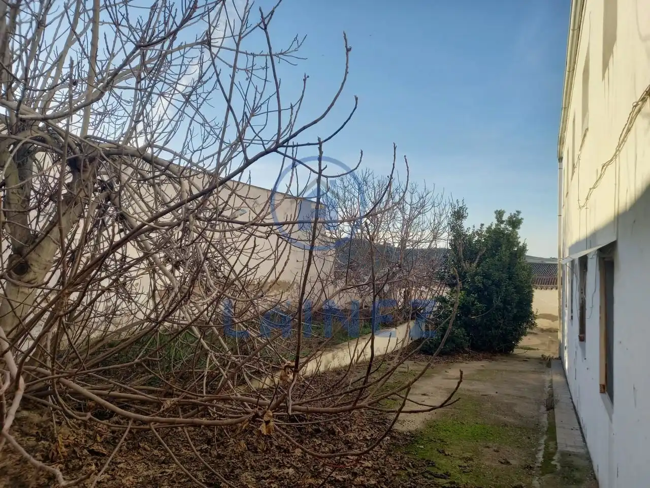 Casa amb jardí en venda a Belmez, imagen 46