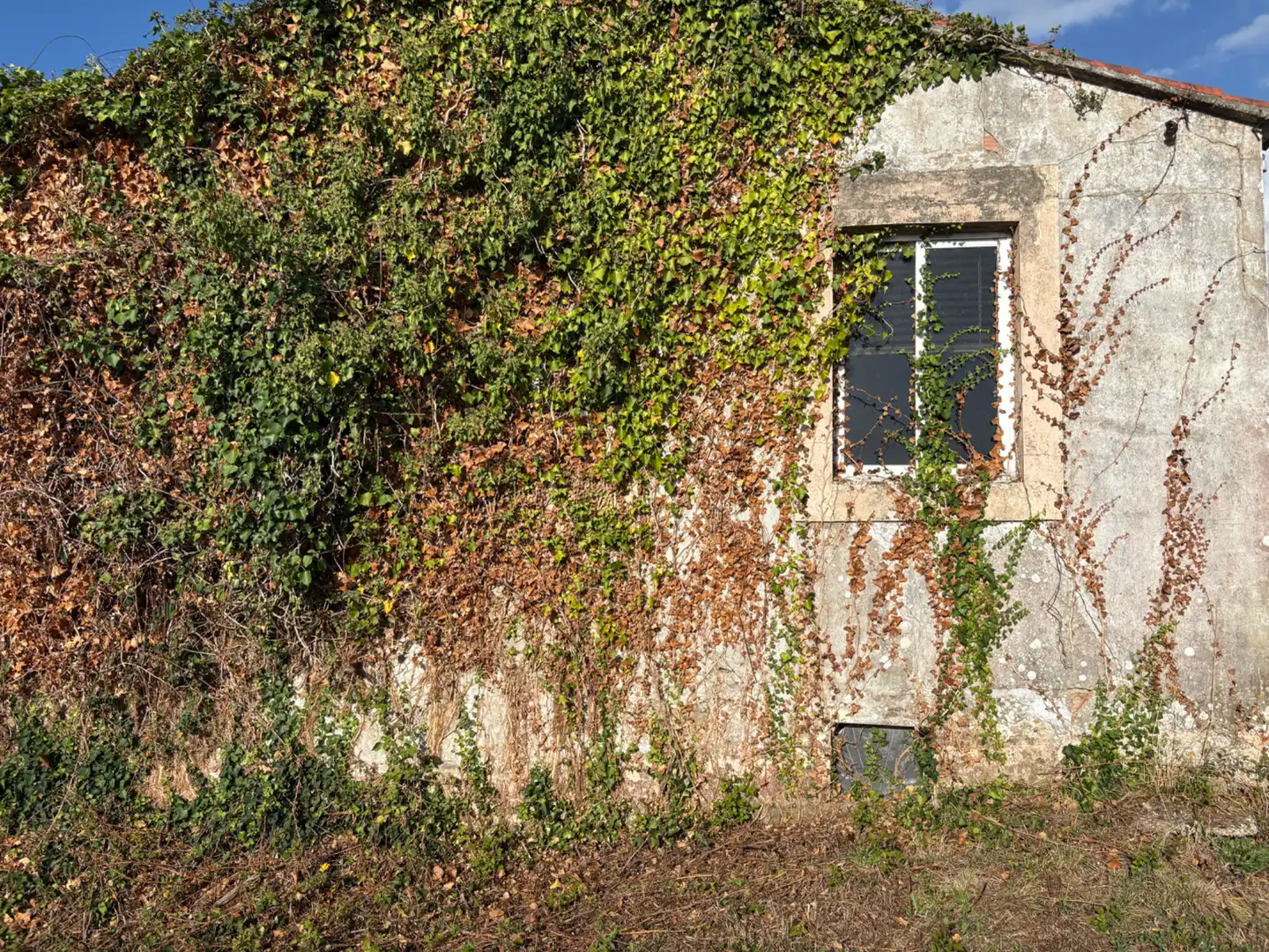 Exterior view of Houses for sale in Fene  with Private garden