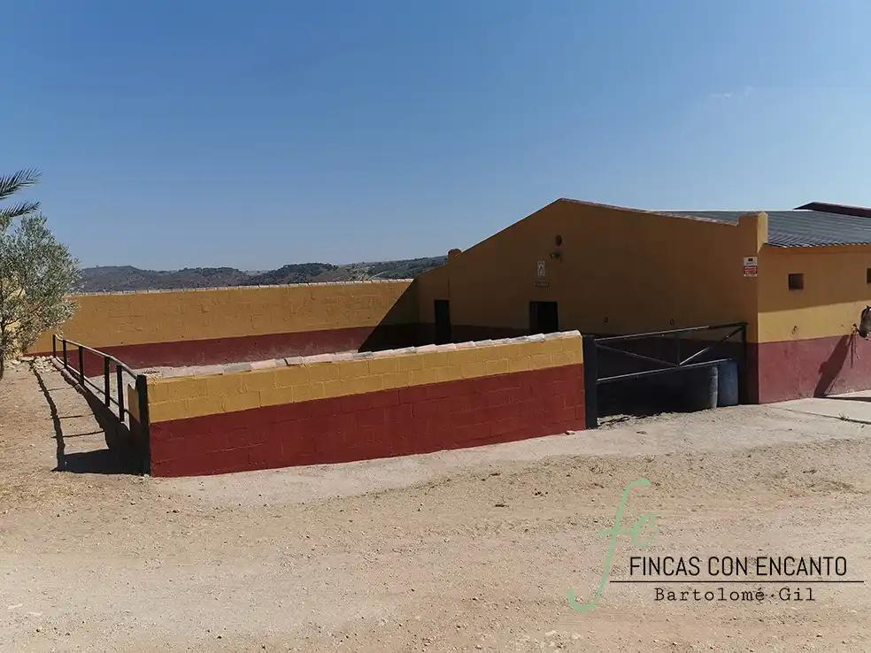Casa rústica amb piscina en venda a Arcos de la Frontera, imagen 26