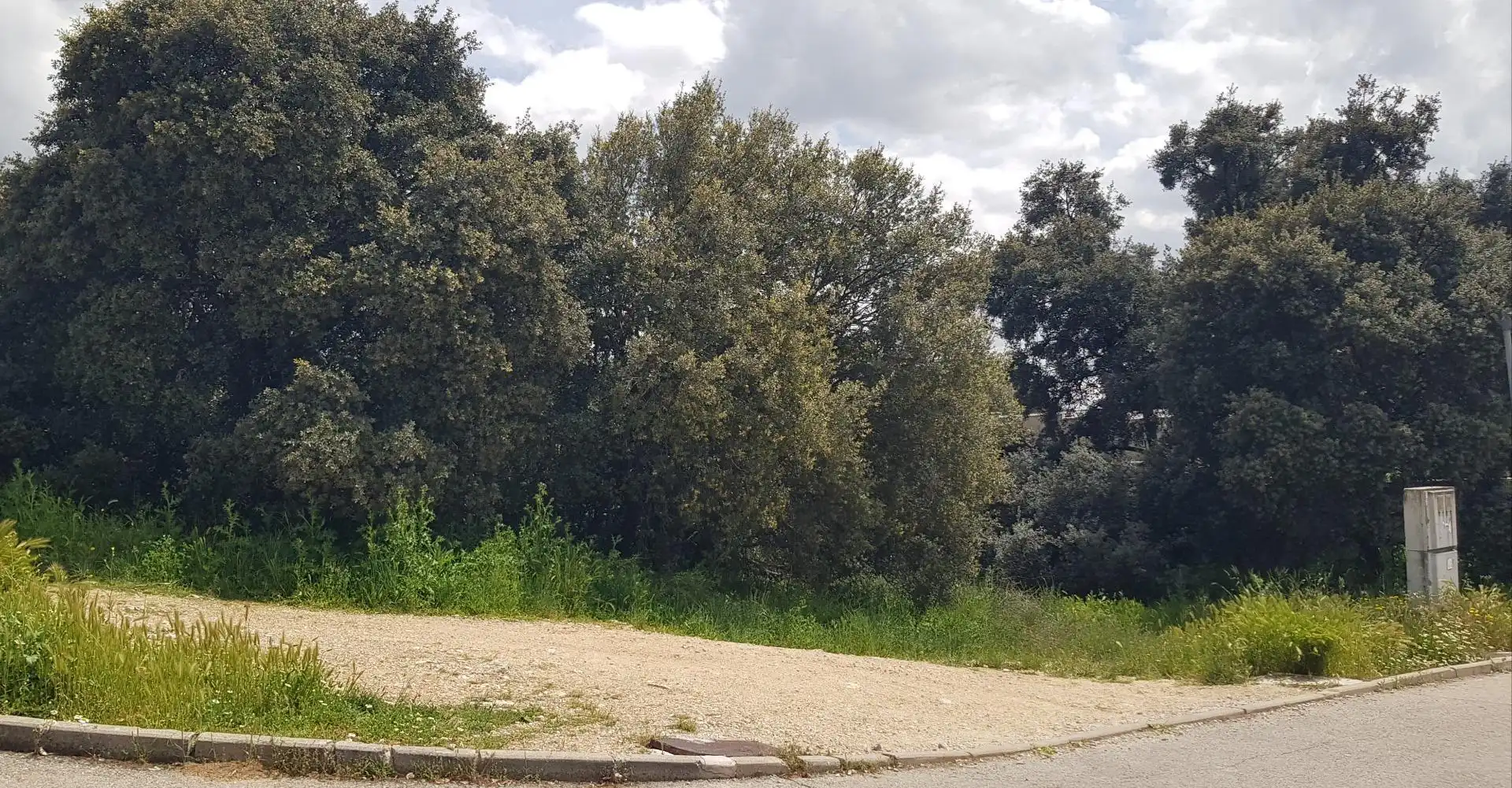 Terreno residencial en venta en Pioz, imagen 2