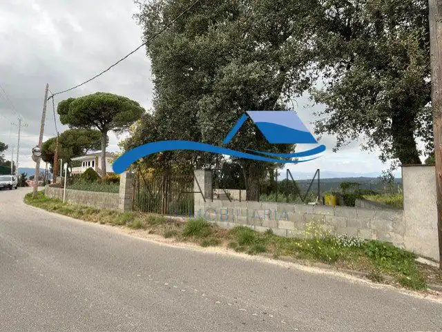 Terrenos y solares en venta en Sensitiva, imagen 3