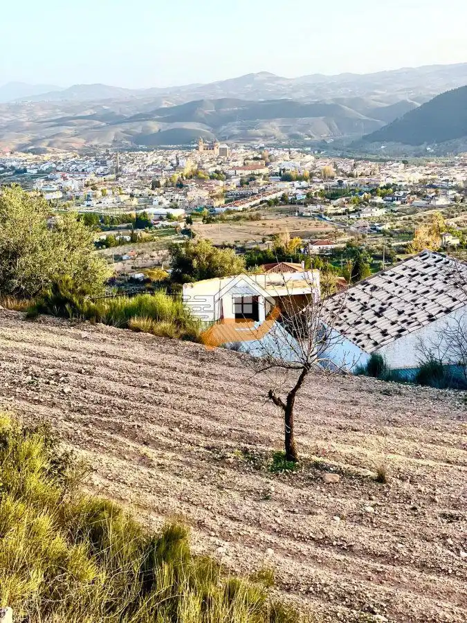 Lands and plots for sale in Vélez-Rubio, imagen 4