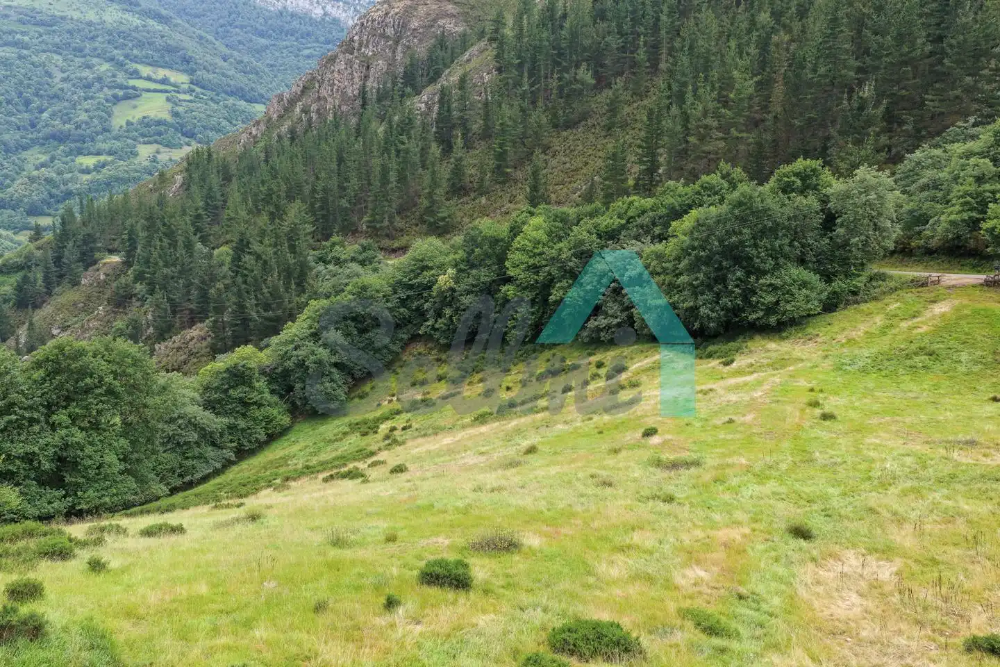 Land for sale in Proaza
