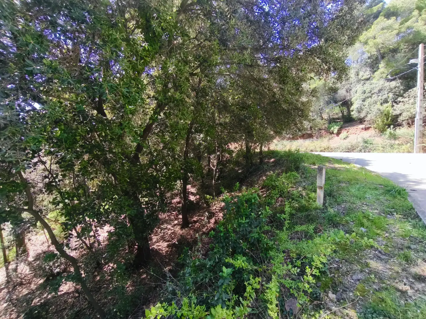 Terrain résidentiel à vendre à Carrer de la Font del Querol 19, imagen 9