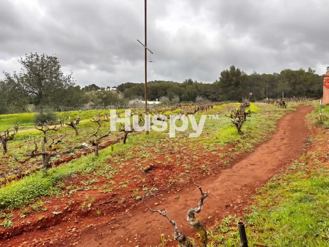 Rural land for sale in Lugar Port de Sant Miquel, imagen 8