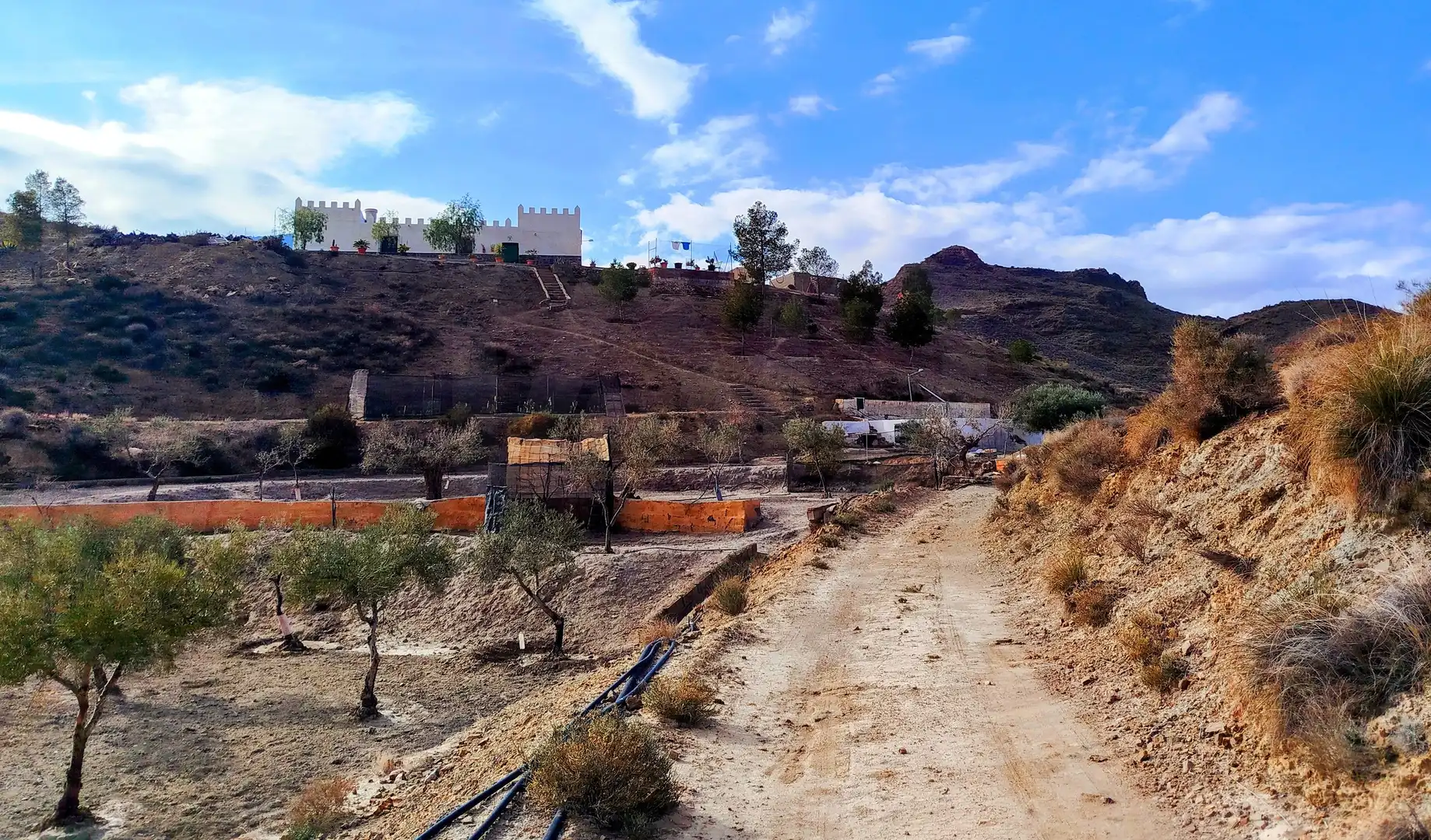 Casa con piscina en venta en Tabernas, imagen 8