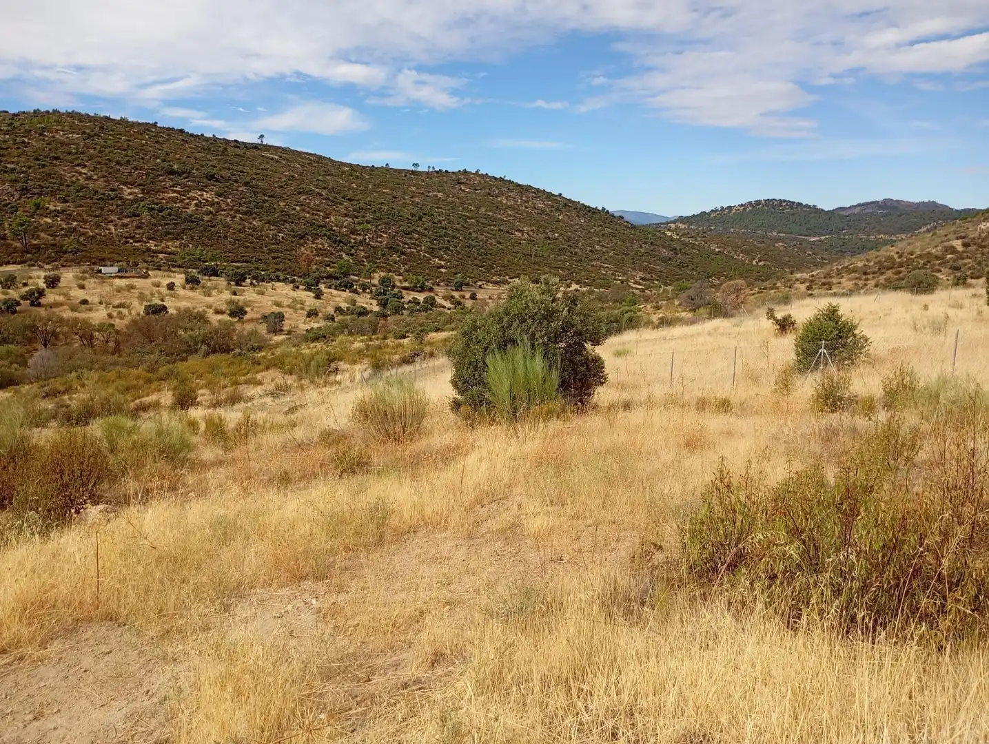 Terrenos y solares en venta en Robledo de Chavela, imagen 10