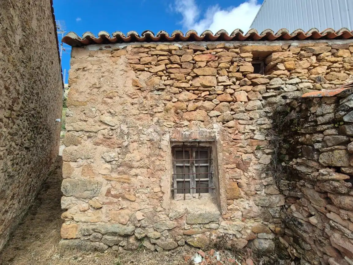 Vista exterior de Finca rústica en venda en Anguita amb Jardí privat