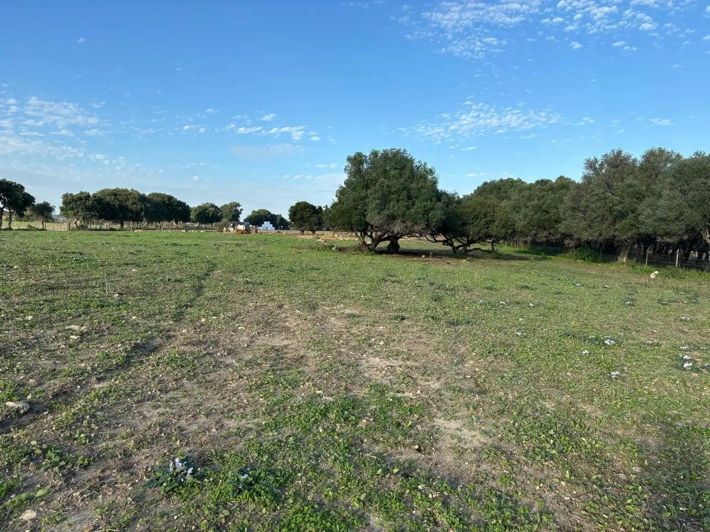 Terreni e lotti in vendita a Vejer, imagen 52
