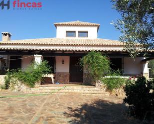 Exterior view of Country house for sale in Las Navas de la Concepción