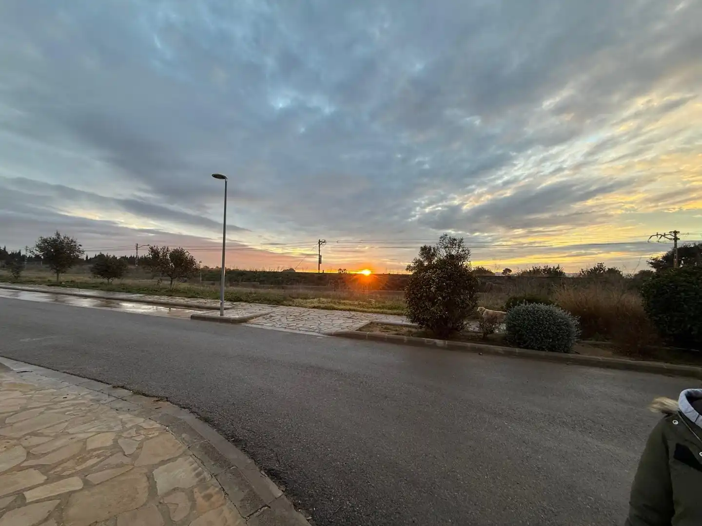 Vista exterior de Residencial en venda en Carlet