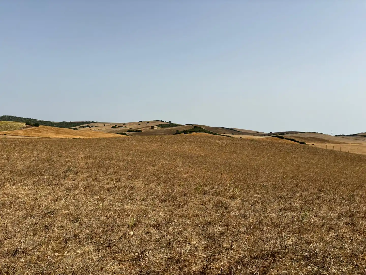 Terreni e lotti in vendita a Lugar el Berrueco, imagen 15