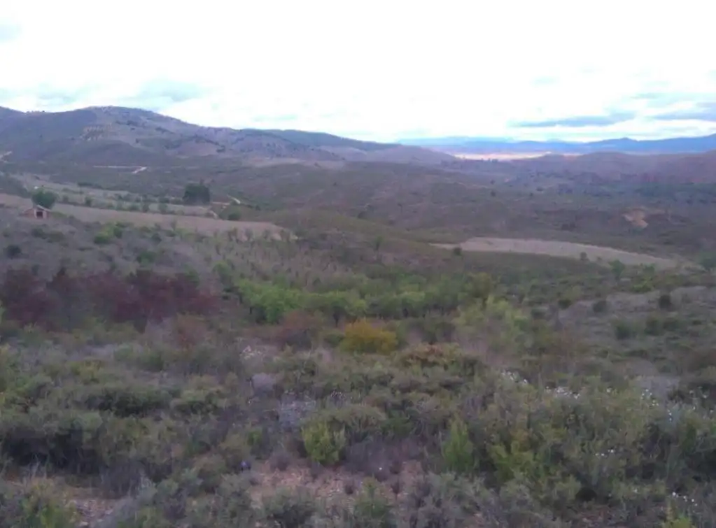 Terreno rustico in vendita a BORBOJON, imagen 5