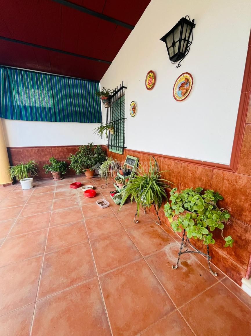 Jardí de Finca rústica en venda en Montilla amb Aire condicionat i Piscina