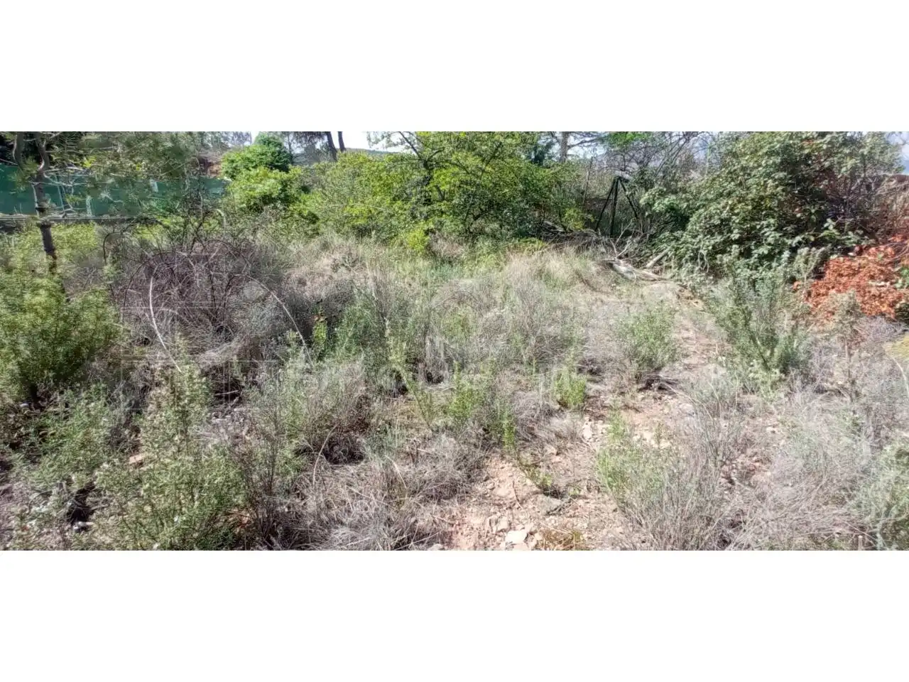 Terreny rústic en venda a Vacarisses, imagen 6