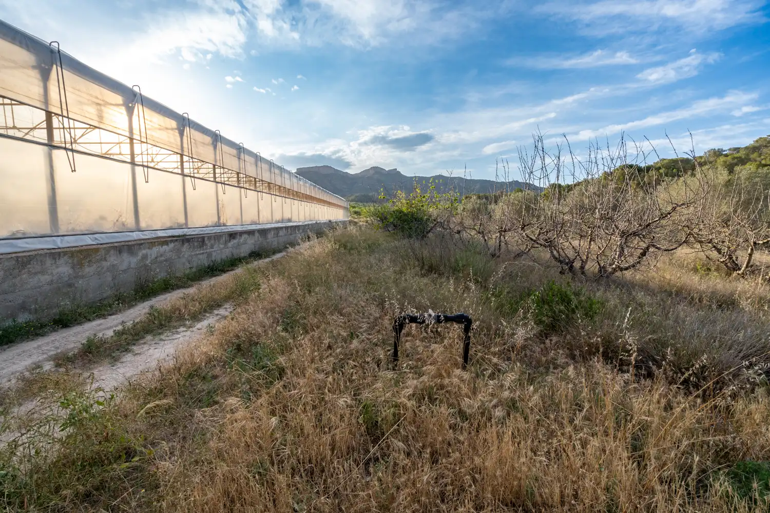 Exterior view of Land for sale in El Pinell de Brai