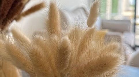 Foto 4 de Casa o xalet en venda a San Fulgencio, Alicante