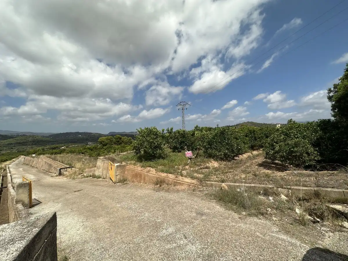 Rural land for sale in Sagunto ciudad, imagen 3