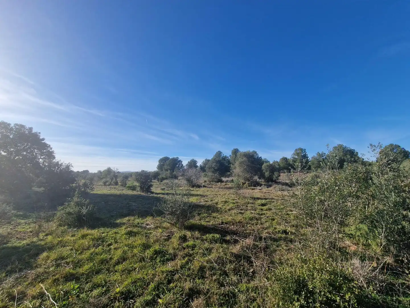 Terreno en venta en 43817, 17, El Pont d'Armentera