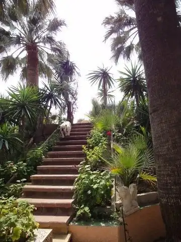 Garden of Houses for sale in San Vicente del Raspeig / Sant Vicent del Raspeig  with Air Conditioner, Heating and Terrace