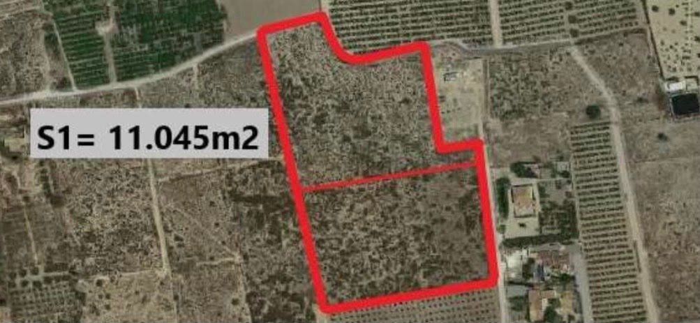 Land for sale in Elche / Elx