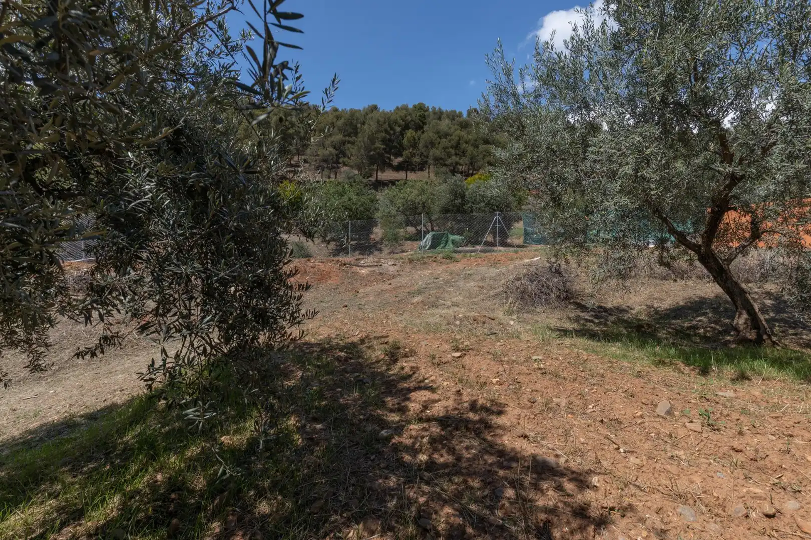 Terreni e lotti in vendita a Genil, imagen 9