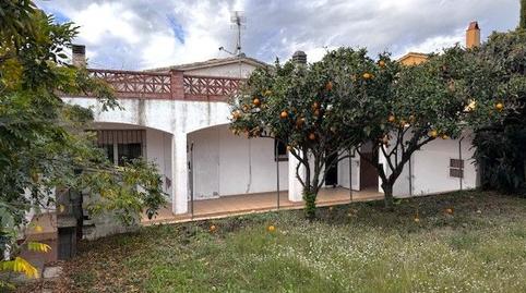 Foto 3 de Casa o xalet en venda a La Punxa, Palafrugell