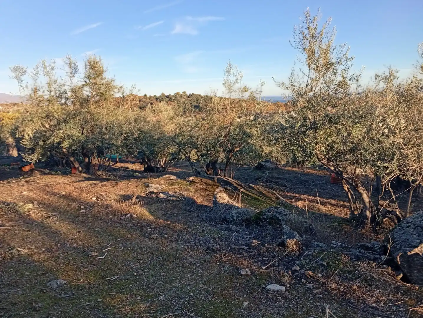 Terreni e lotti in vendita a Villanueva de la Vera, imagen 64