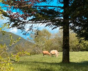 Außenansicht von Country house zum verkauf in Vallfogona de Ripollès mit Heizung, Möbliert und Ofen