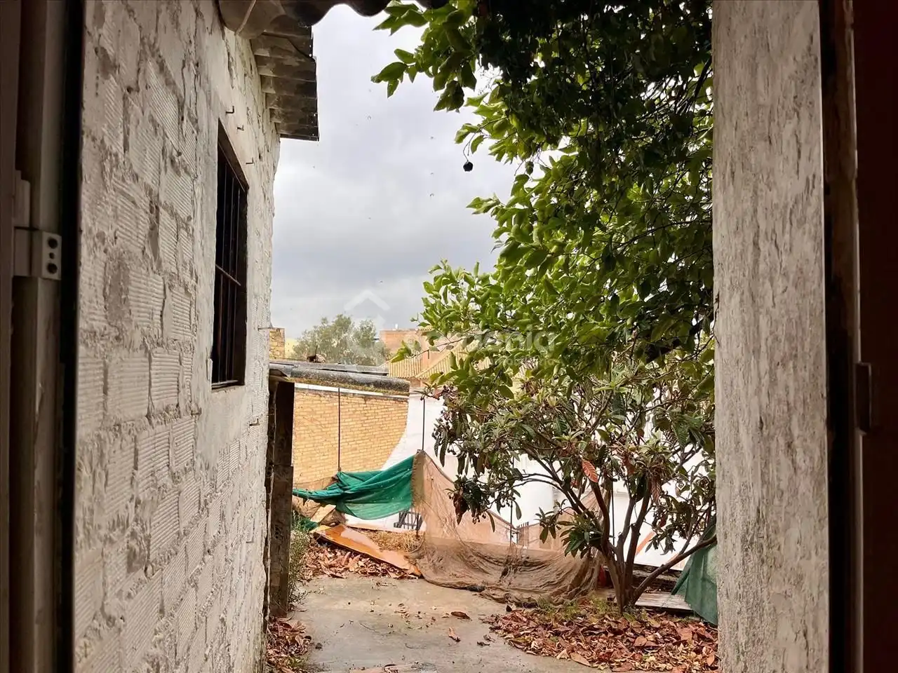 Houses for sale in Morón de la Frontera