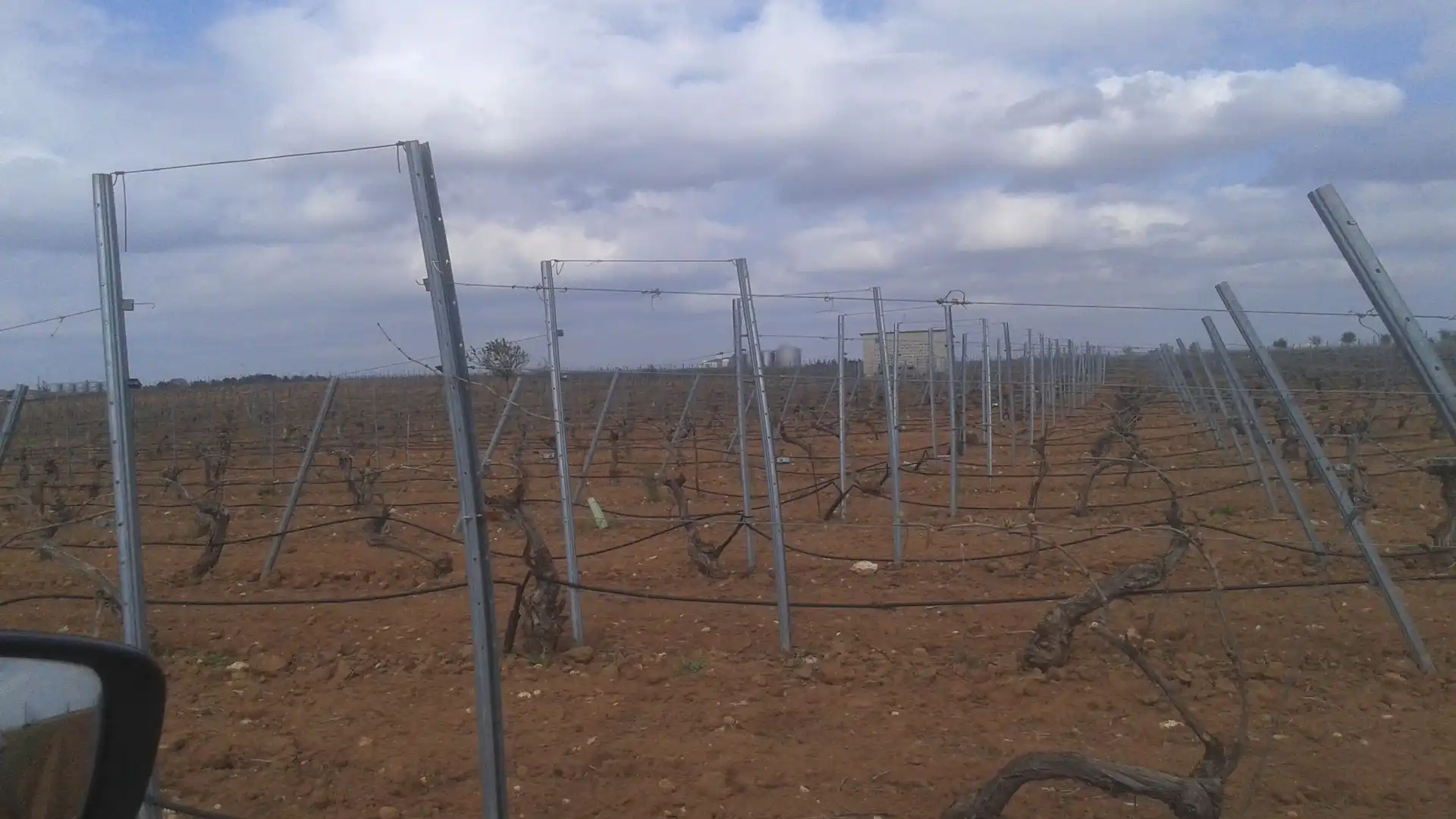 Terrenys i solars en venda a Las Mesas, imagen 14