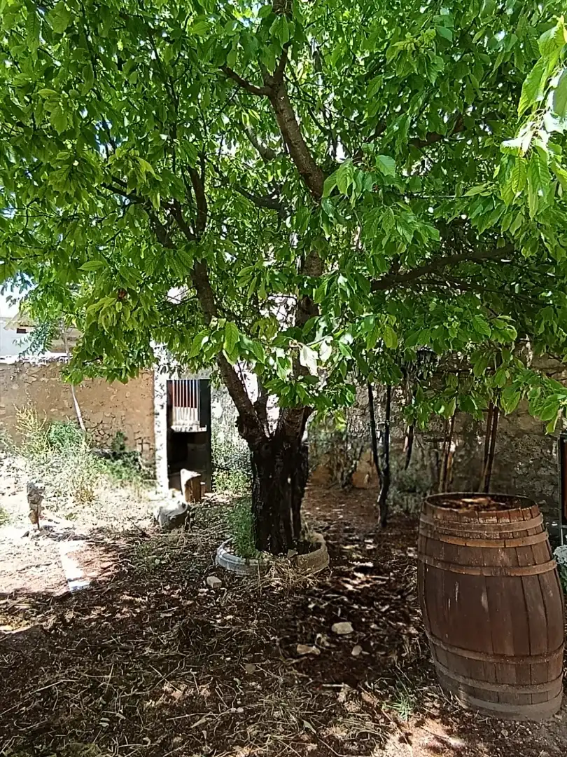 Garten von Geschaftsraum zum Verkauf in Albalate de Zorita mit Klimaanlage, Heizung und Terrasse