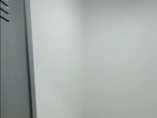 Traster de lloguer en Madrid amb Alarma