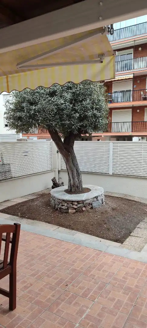 Terraza de Casa adosada de alquiler en Benicasim / Benicàssim con Aire acondicionado, Calefacción y Jardín privado
