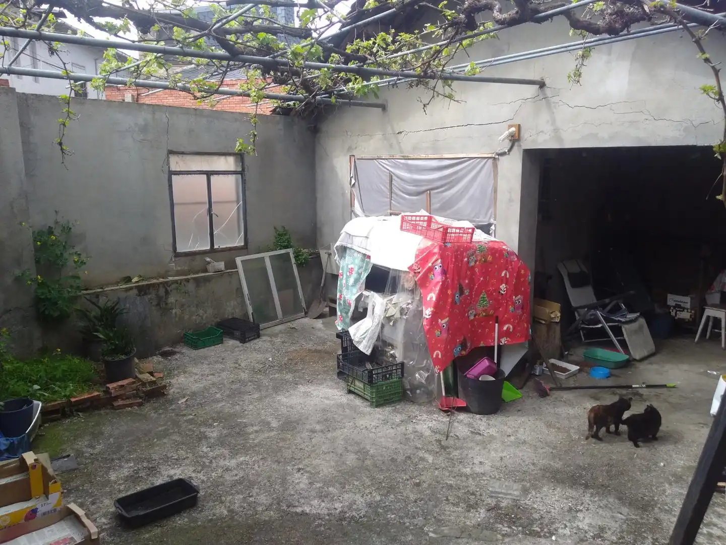 Terreni e lotti in vendita a Área Rural Sur, imagen 4