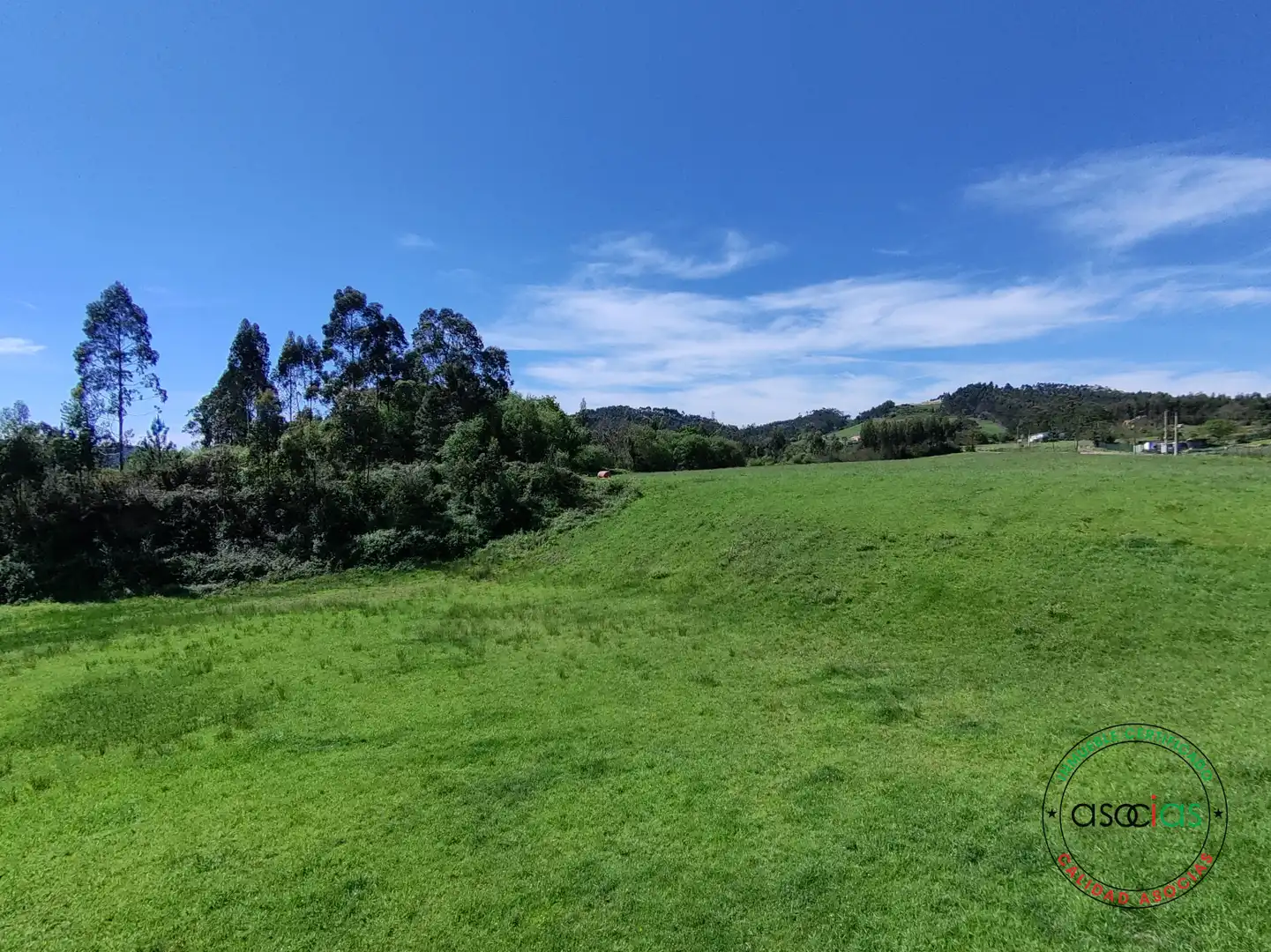Terreno rustico in vendita a Gijón - CR DE GALLINAL 203, imagen 12