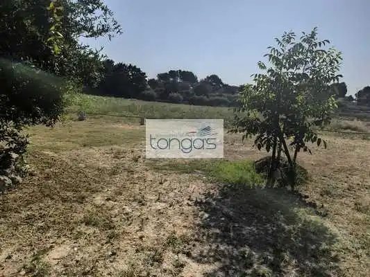 Rustikales Grundstück zum Verkauf in Xàtiva, imagen 8