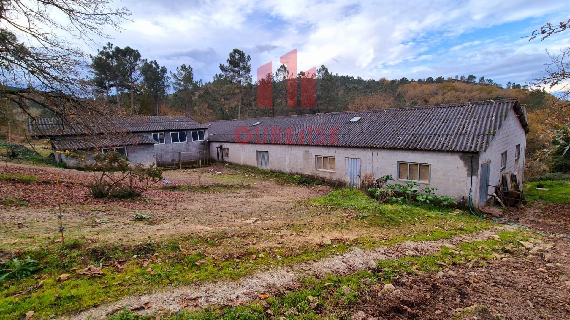 Exterior view of Industrial buildings for sale in Amoeiro