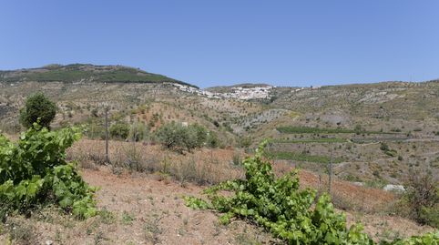 Foto 3 de Terreno en venta en N/a, -1, Murtas, Granada