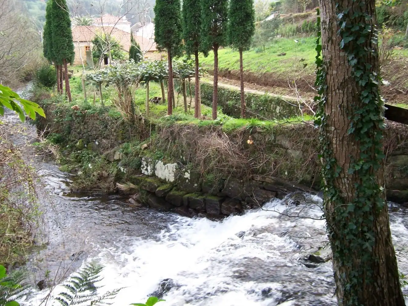 Terreni e lotti in vendita a Aldea o Lourido 6, imagen 12