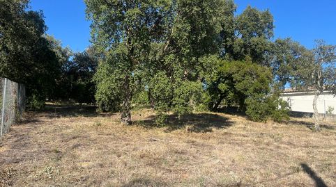 Venta parcela en Urbanización Mas Llunes., immagine 4