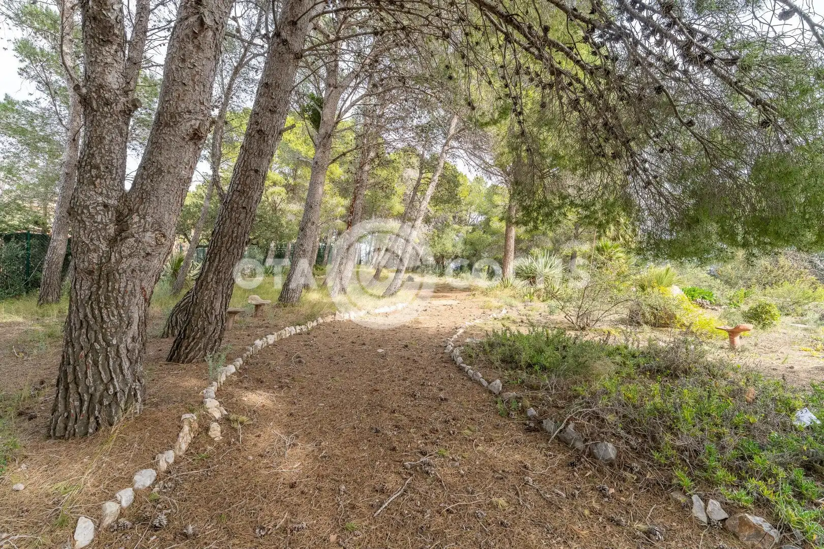 Terreny residencial en venda a Carrer dels Pugets, imagen 14