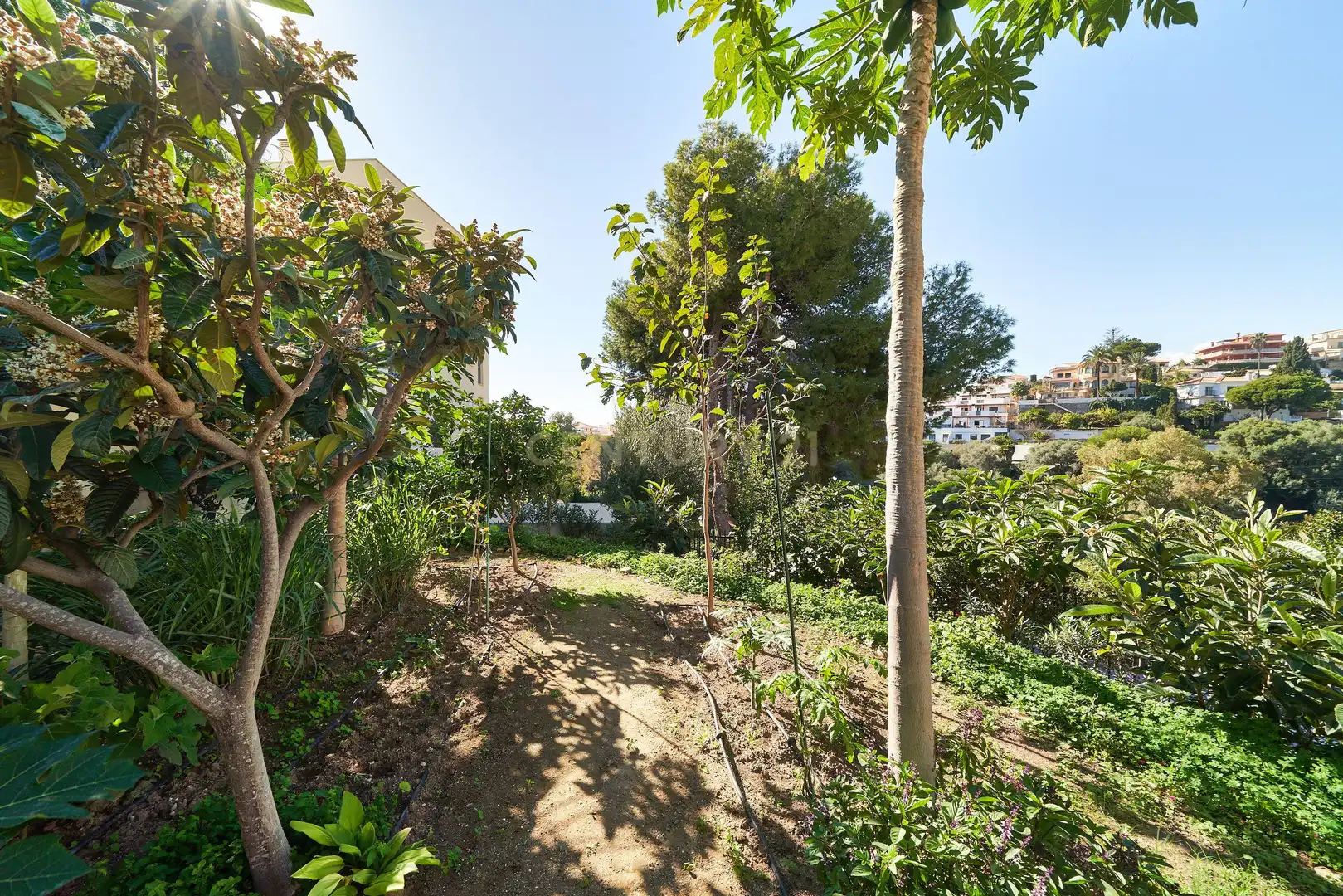 Garden of Houses for sale in Fuengirola  with Private garden, Alarm and Community pool
