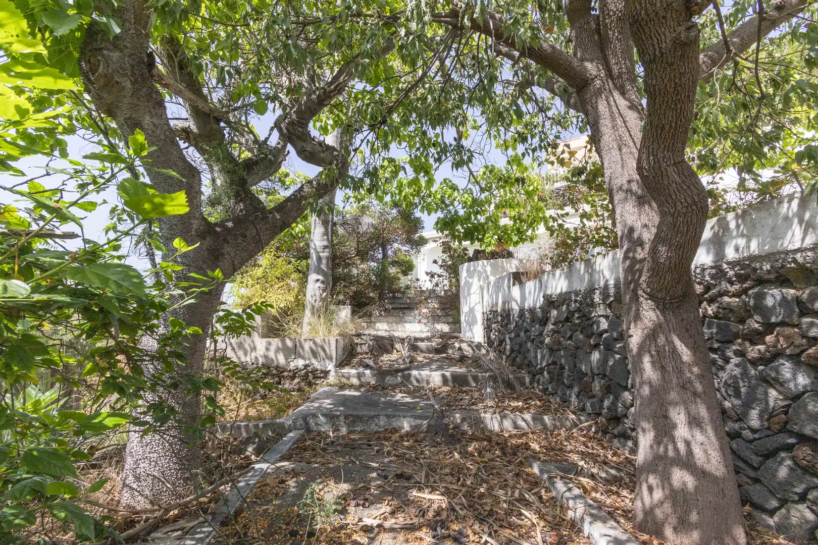 Vista exterior de Casa o chalet en venta en Puerto de la Cruz con Jardín privado y Terraza
