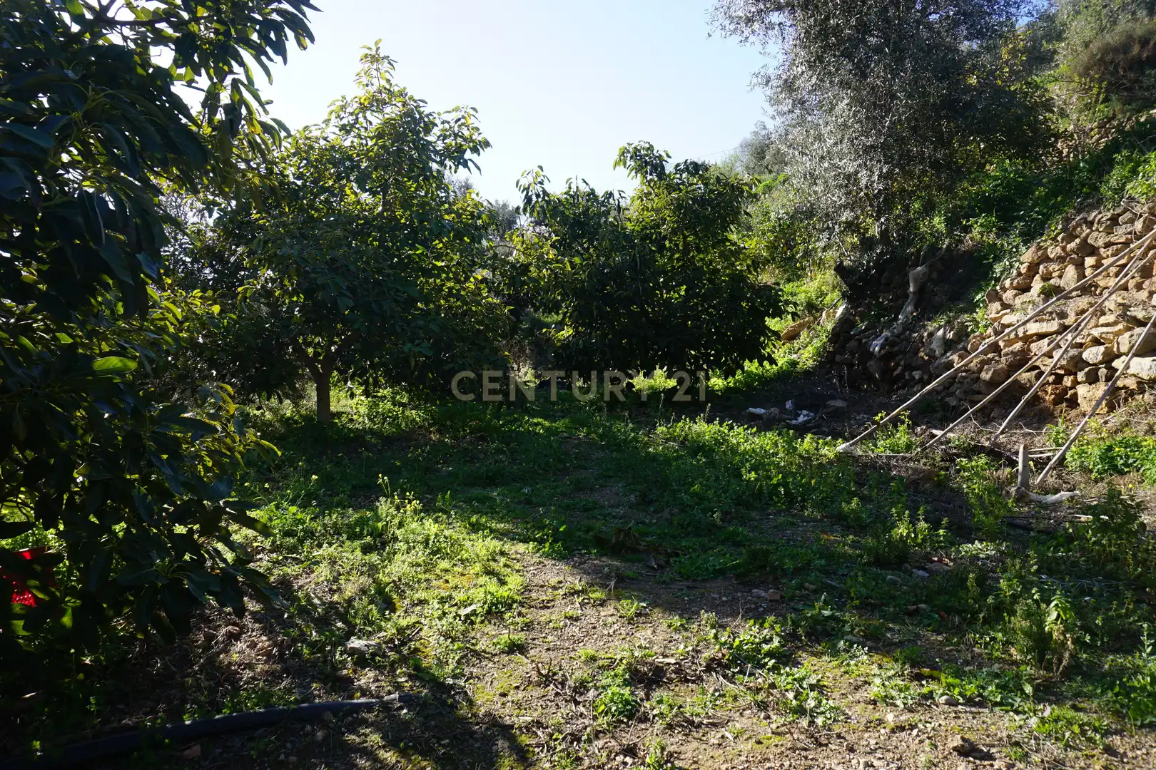 Terreni e lotti in vendita a WG79+QW Lanjarón, Spain, imagen 10