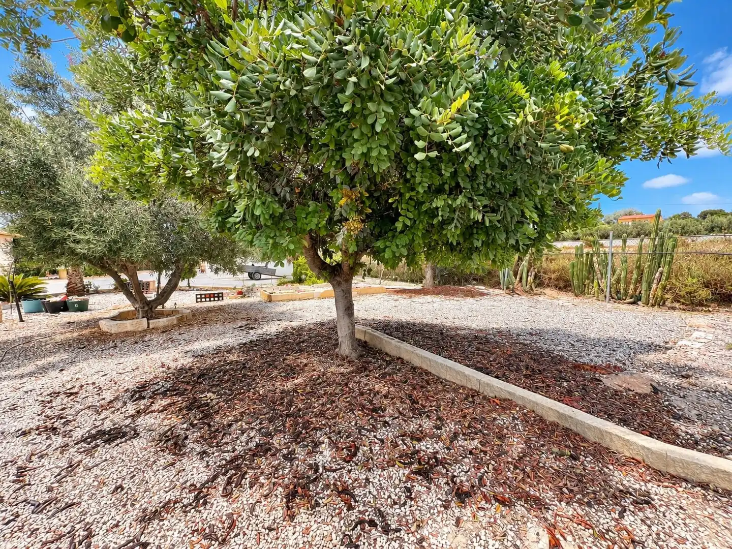 Landhaus mit Pool zum Verkauf in La Marina, imagen 19