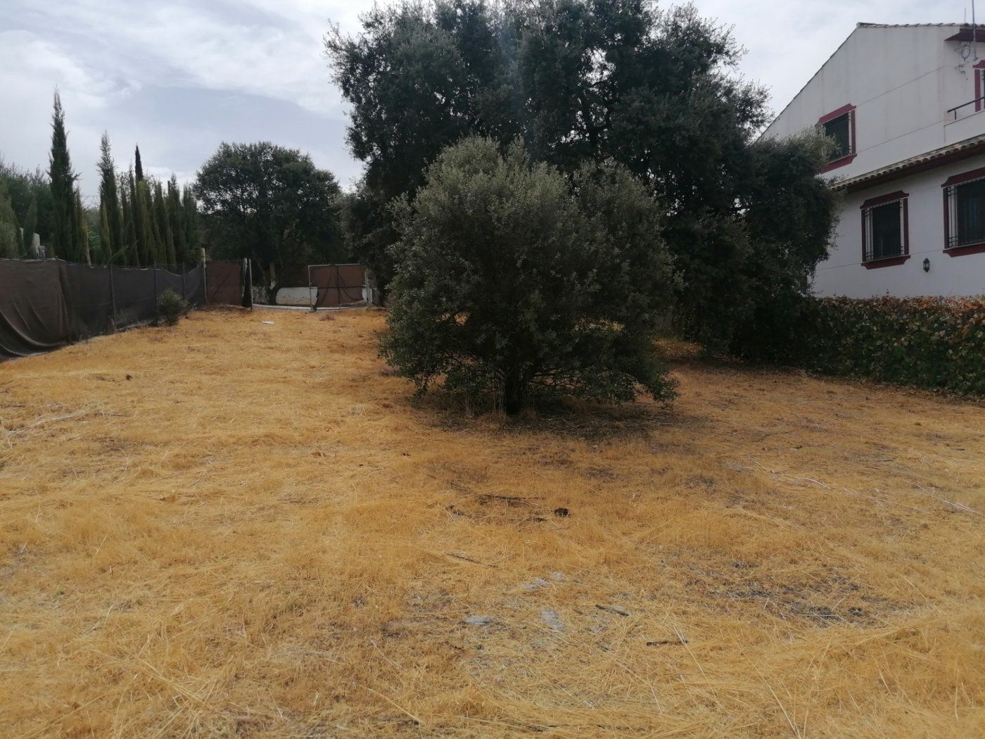 Residencial en venda a Alcolea